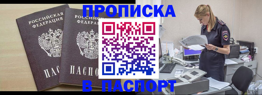 прописка законно в Александровске